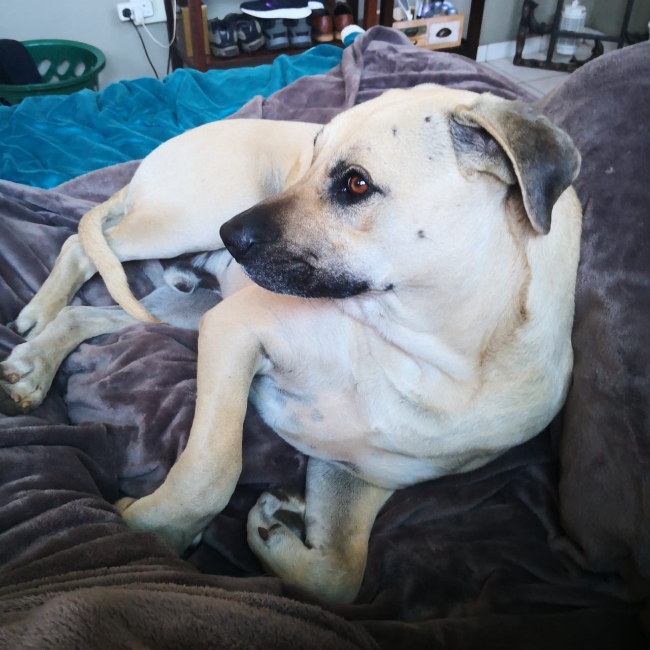 WhatsApp Image 2025-09-16 at 09.47.44_c3b5d253