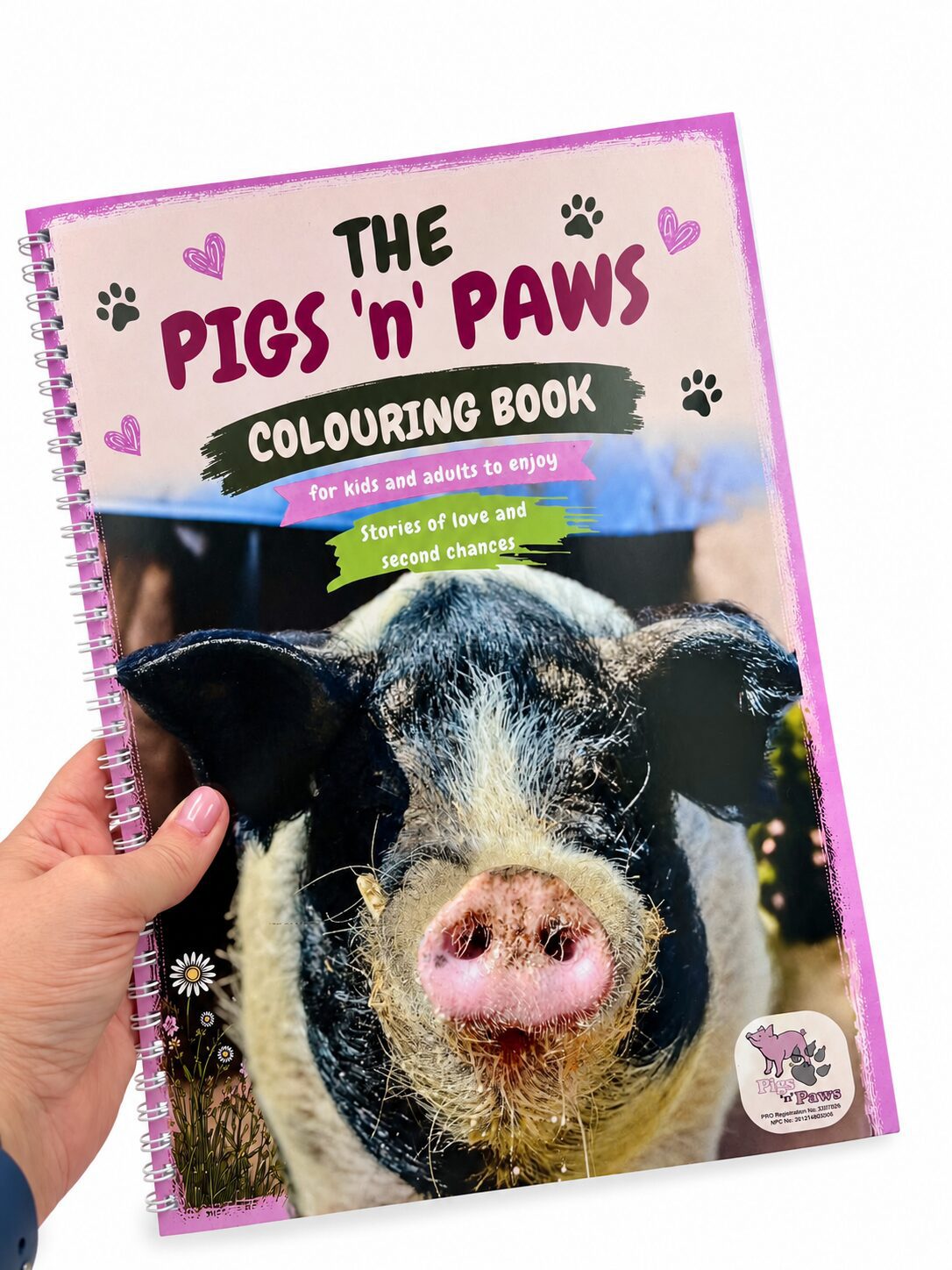 PnP Colouring Book Front Cover