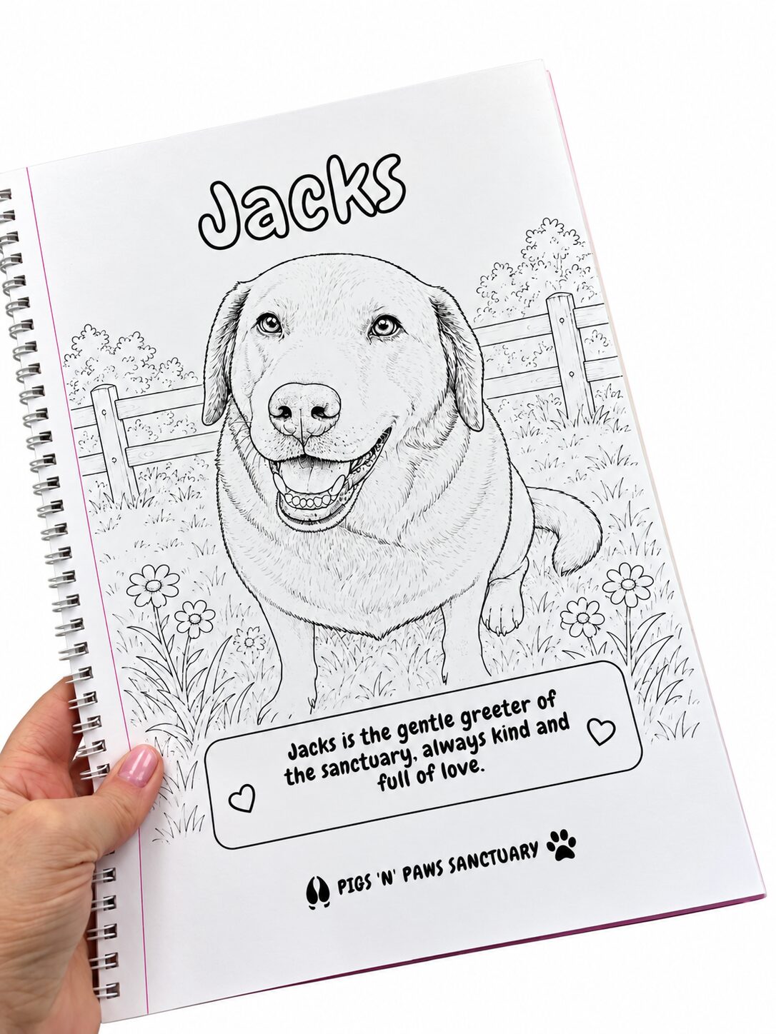 Jacks Colouring Page - White Background